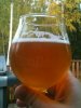 ImageUploadedByHome Brew1410321118.467595.jpg