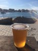 ImageUploadedByHome Brew1410552872.203492.jpg