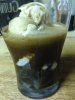 ImageUploadedByHome Brew1411176278.834106.jpg