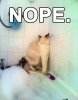 ImageUploadedByHome Brew1412258119.204862.jpg