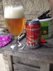 ImageUploadedByHome Brew1413323124.109886.jpg