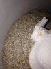 ImageUploadedByHome Brew1413488847.990239.jpg