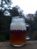 ImageUploadedByHome Brew1413929234.438544.jpg