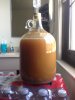 ImageUploadedByHome Brew1414437637.391585.jpg