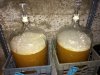 ImageUploadedByHome Brew1414457873.784036.jpg