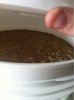 ImageUploadedByHome Brew1414504815.471123.jpg