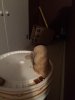 ImageUploadedByHome Brew1414983285.883981.jpg