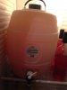 ImageUploadedByHome Brew1415120875.937398.jpg