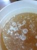 ImageUploadedByHome Brew1415211713.725350.jpg