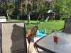 ImageUploadedByHome Brew1432328181.656720.jpg