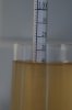 Preboil SG.jpg