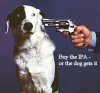 bad_doggy.jpg