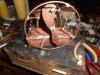 airboat 003.JPG