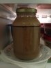 Yeast3_11-13-15_0035.jpg