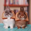 rabbit_bread.jpg