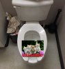 potty.jpg