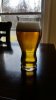 kolsch.jpg