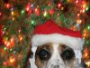 howdy christmas.jpg