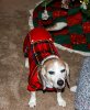 IMG_8878 resizd.jpg