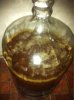 image-3370168818.jpg