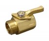 hosevalve.jpg