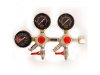 TheGovernorDualBodyRegulator.jpg