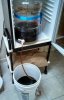 IMG_20170729_151104_139.jpg
