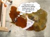 Mouse_Wort.jpg