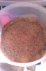 ForumRunner_20120324_203654.jpg