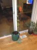 image-2780694385.jpg