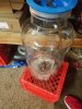 20171227_170259.jpg