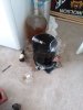 20180106_143527.jpg