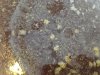 8767A91F-804D-4610-847B-486FF240C166.jpeg