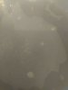 0207181501.jpg