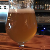Tequila inspired ale.png