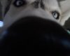 IMG00126.jpg