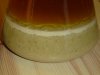 Yeast.jpg