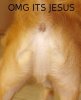 omgitsjesus.jpg