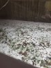 20180414_225922.jpg