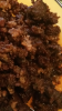 Screenshot_2018-04-13-19-26-43.png