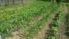 20180527_101657.jpg