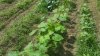 20180527_101737.jpg