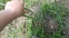 20180527_101836.jpg