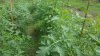 20180527_101905.jpg