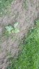 20180527_102233.jpg