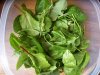 salad1.jpg