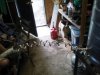 ForumRunner_20120523_070658.jpg