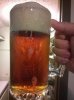 WP_20160829_002.jpg