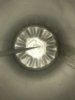 C4E3714C-CFBF-4267-B692-85C7B7DA2243.jpeg