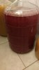 IMG-20190127-WA0003.jpeg
